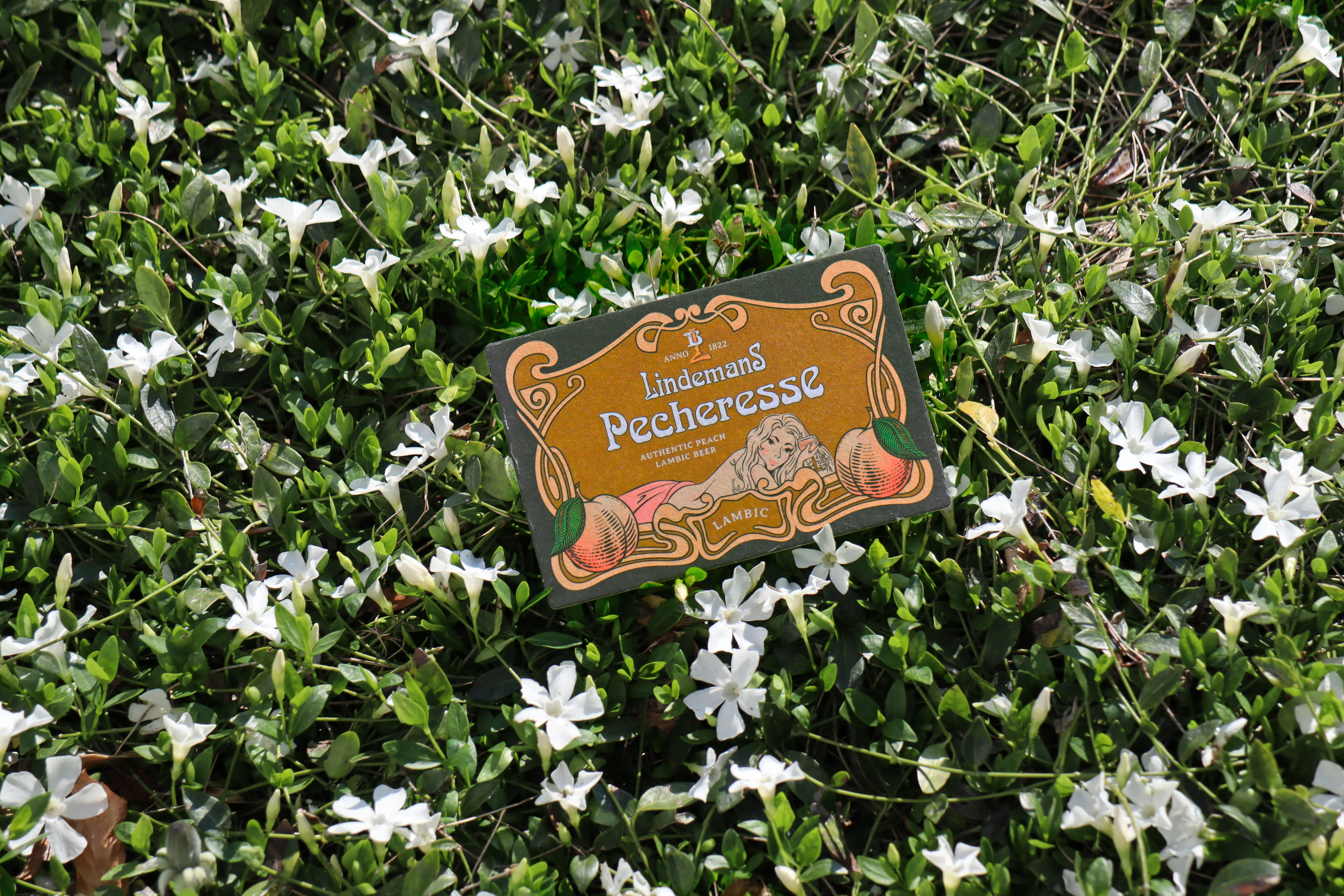 Lindemans - Beer coasters - Image 3