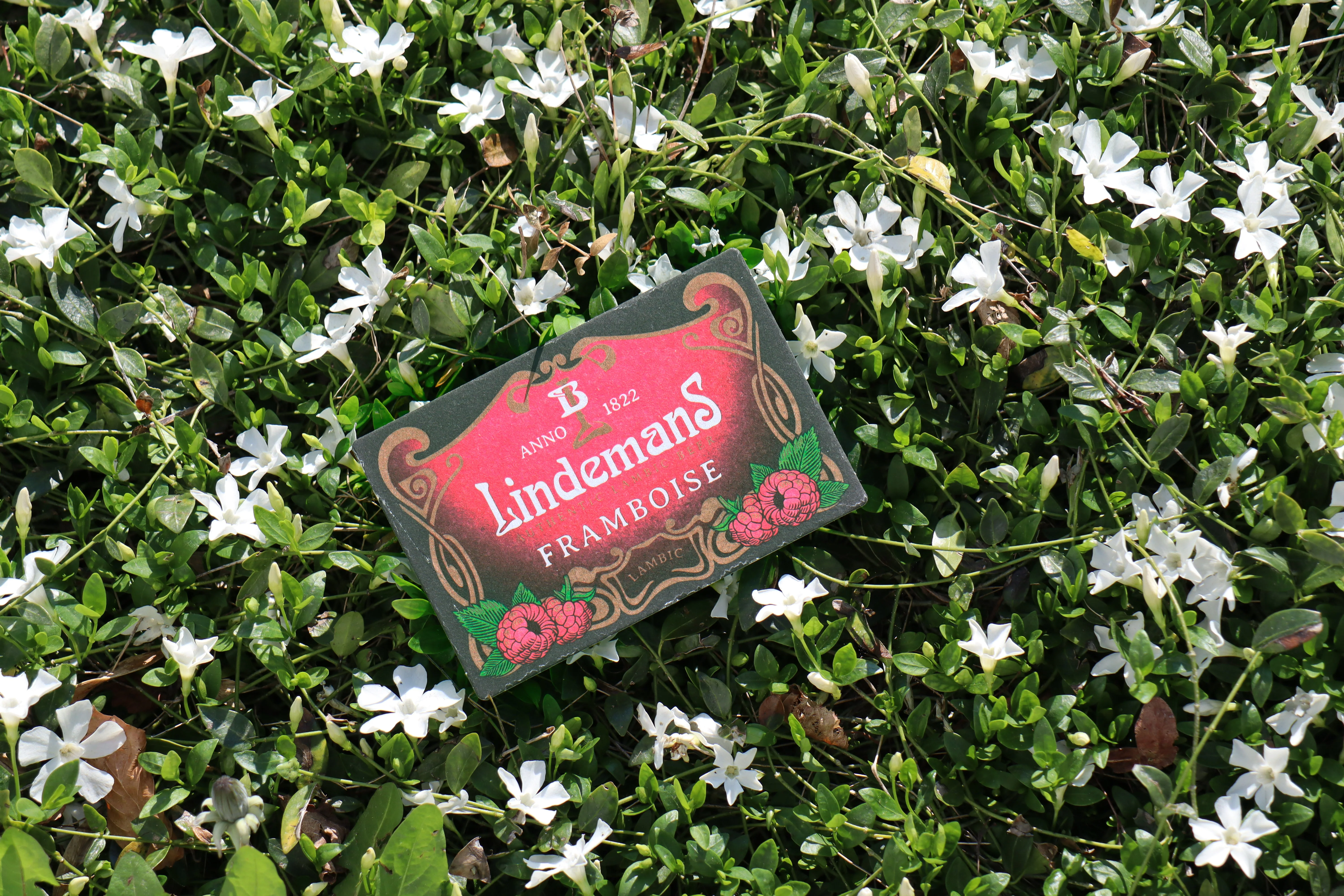 Lindemans - Beer coasters - Image 4