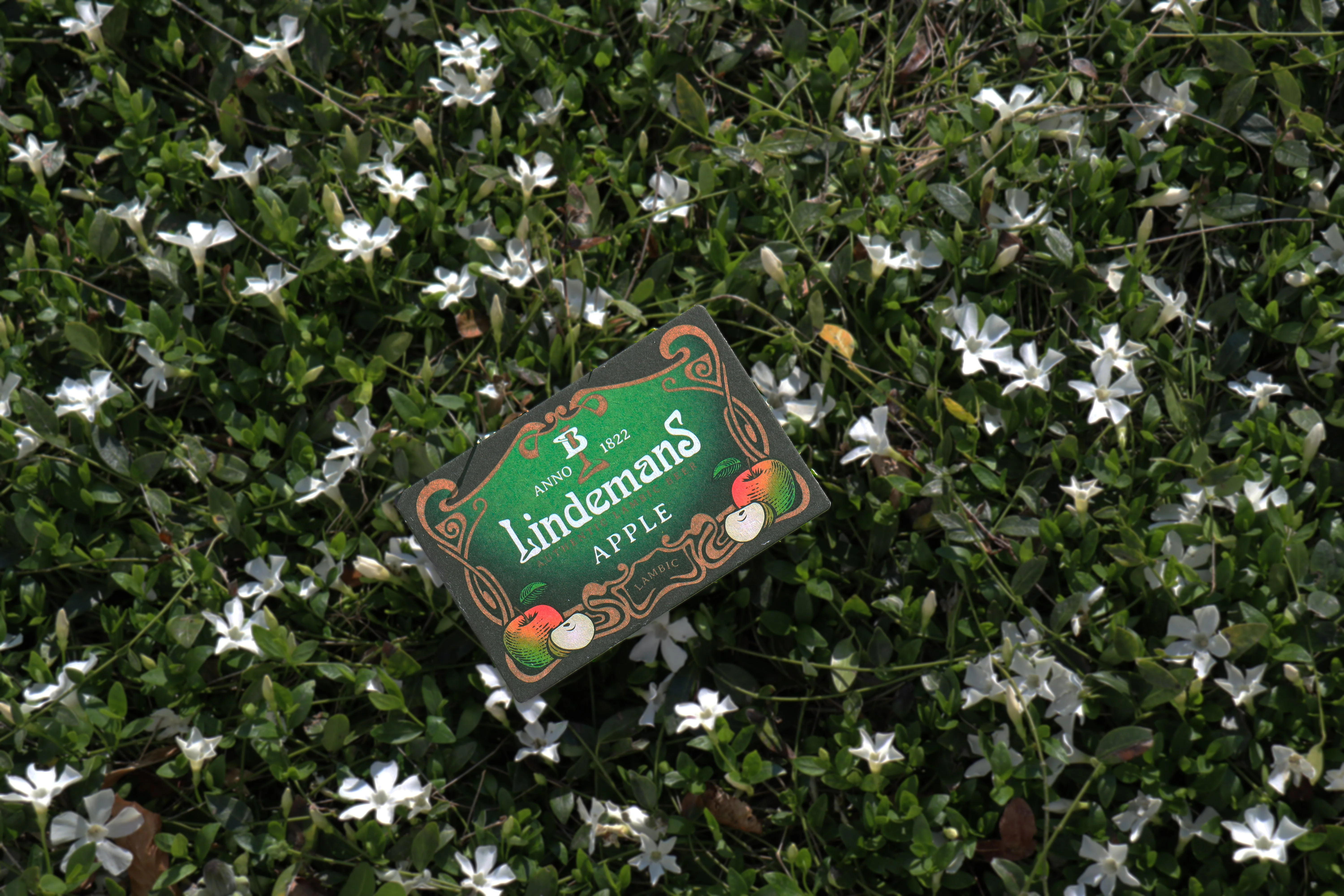 Lindemans - Beer coasters - Image 5