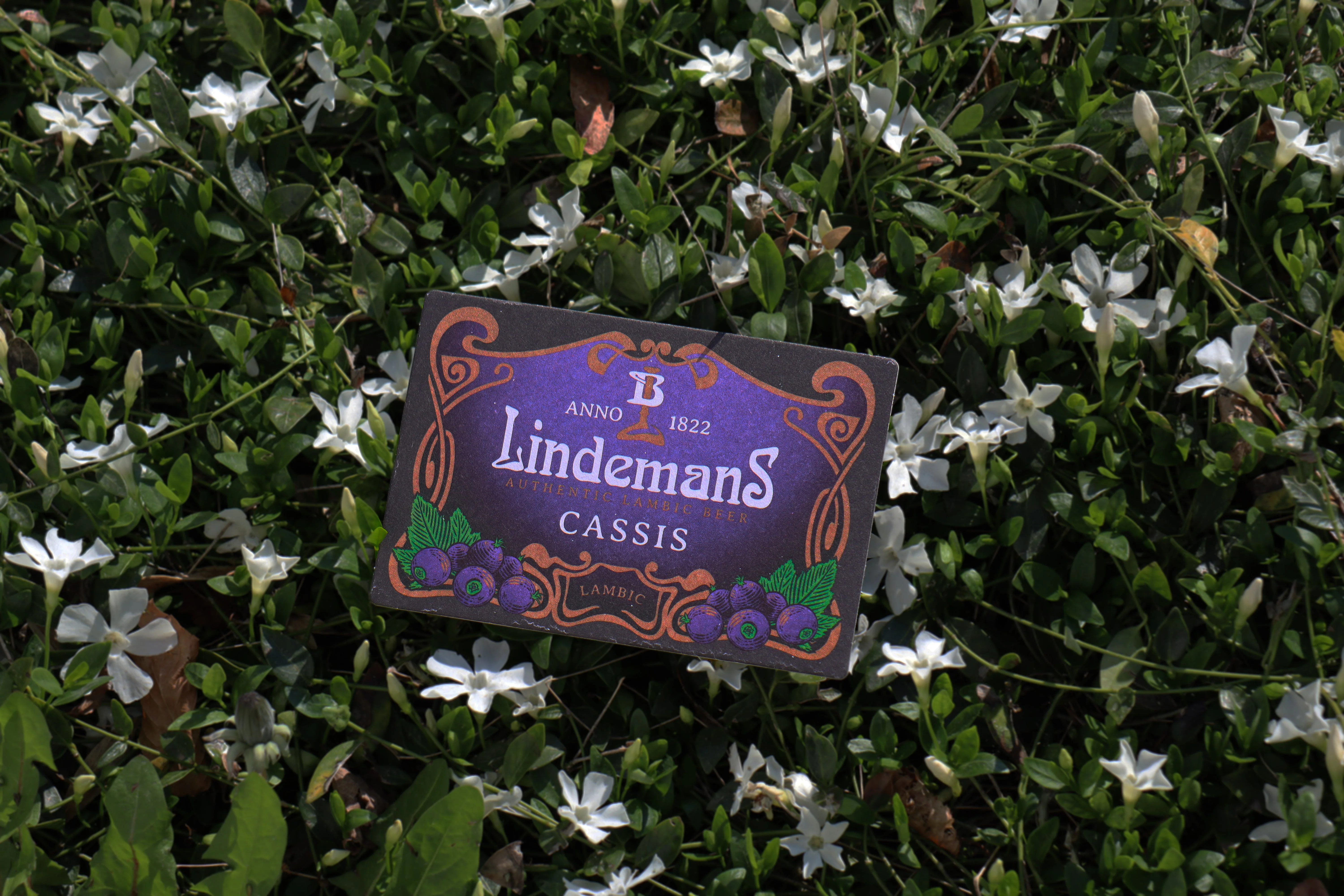 Lindemans - Beer coasters - Image 6