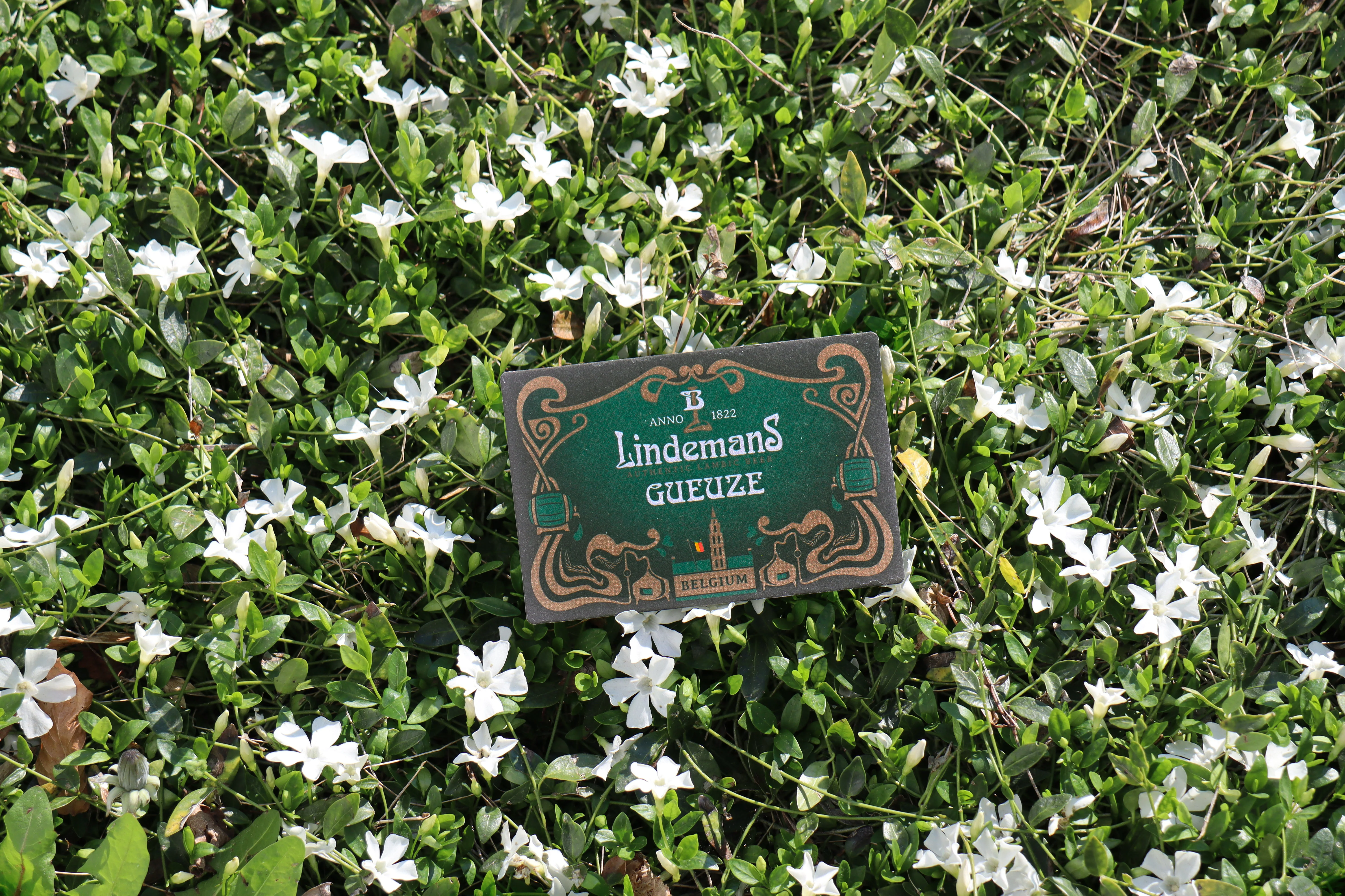 Lindemans - Beer coasters - Image 8