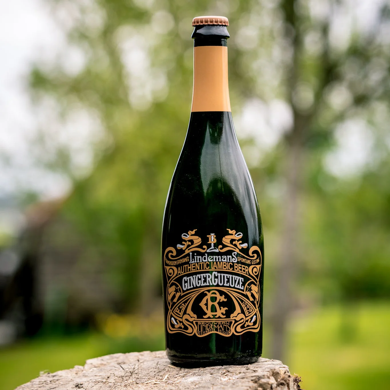 Lindemans GingerGueuze - 75cl - Image 6